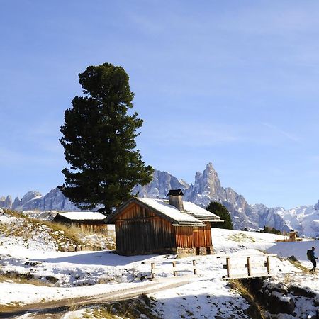 B&B B&Beautyfol Dolomites Adults Only Predazzo Esterno foto