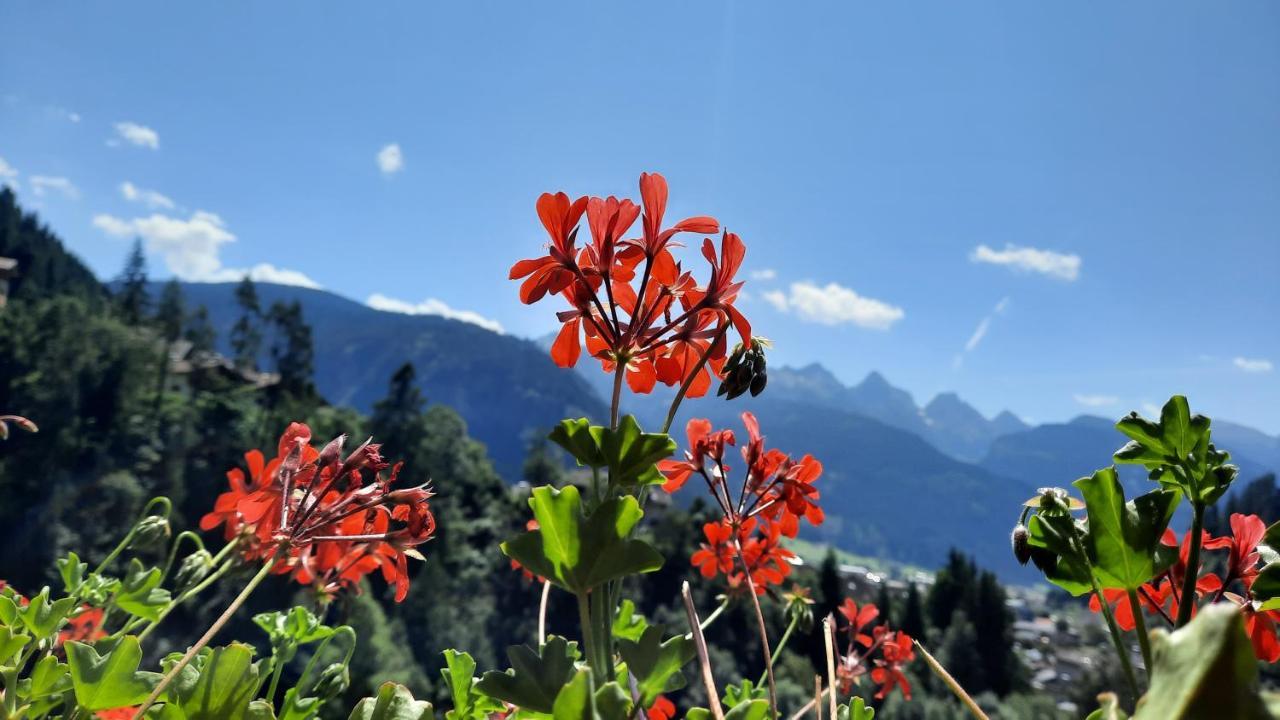 B&B B&Beautyfol Dolomites Adults Only Predazzo Esterno foto