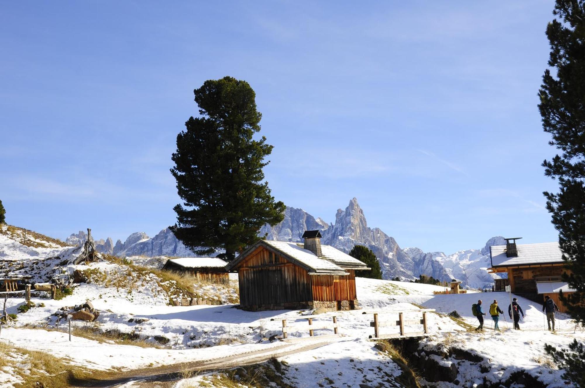 B&B B&Beautyfol Dolomites Adults Only Predazzo Esterno foto